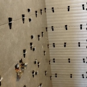 امین ولی الهی