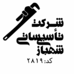 امیر شهبازی عین آباد