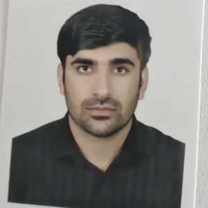 حسن شریفی شمیلی