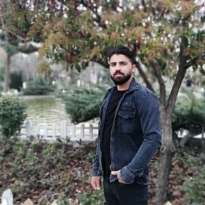 سید مصطفی نکوئی