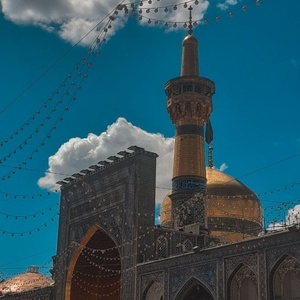 محمد محمدی