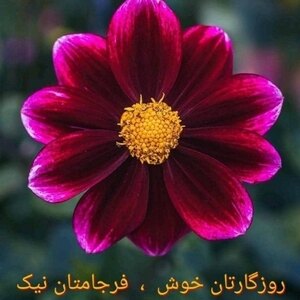 مسعود آقایی عبس اباد