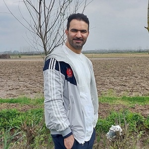 حامد شریفی