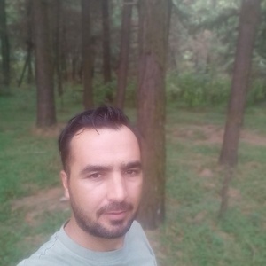 امیر نجفی