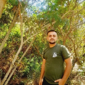 محمدرضا هنرمندی