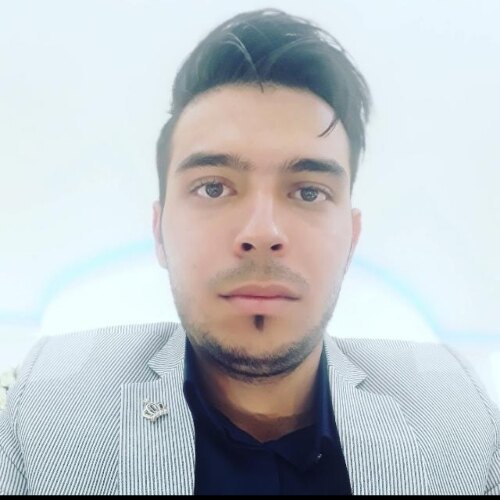 محسن کرمی