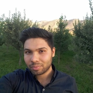 سید احسان احمدی