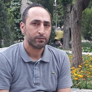 محمدرضا کاکاوندی