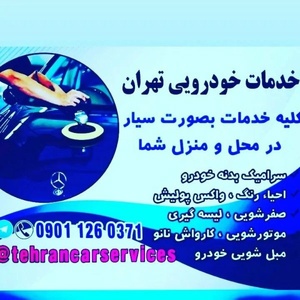 مهدی سلیم زاده