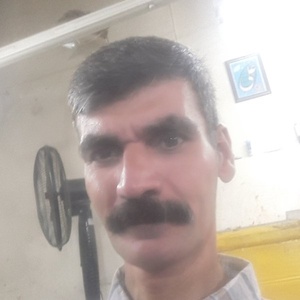 نورالدین  کلوی