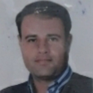 سید احسان حامی