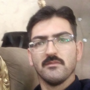 وحید دوست محمدی