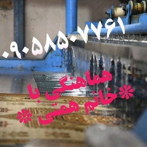 قالیشویی مبلشویی مکانیزه همتی (آذرخش البرز)