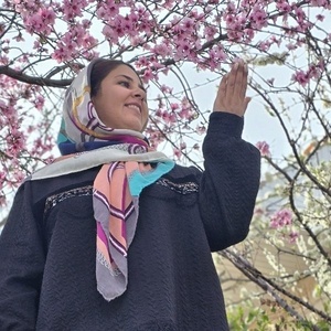 متین صیفی