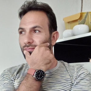 داود چمنی