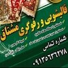 تصویر پروفایل رضا ملک محمدی