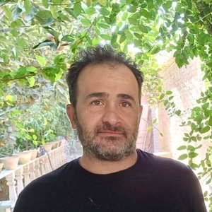 بابک مولوی