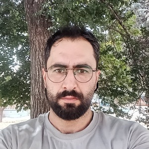 علی سلیمی