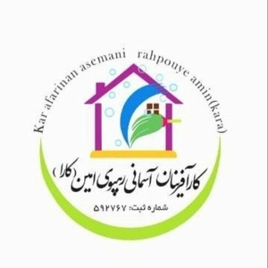 کارآفرینان آسمانی رهپوی امین