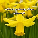 تصویر پروفایل ریحانه فرجی