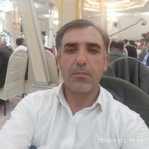 عادل میرزامحمدی