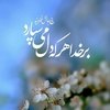 تصویر پروفایل فاطمه خرم آبادی