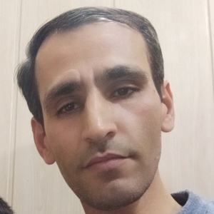 مجتبی برزو