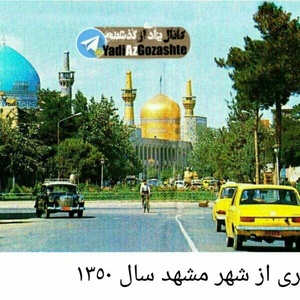 محمدعلی حیدری شیرگ