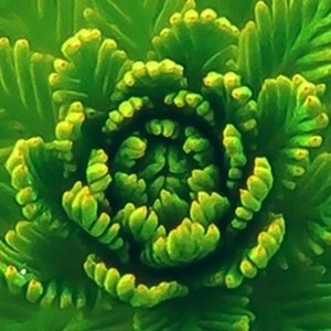 علی رضا مومنی
