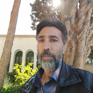رسول مینایی نسب
