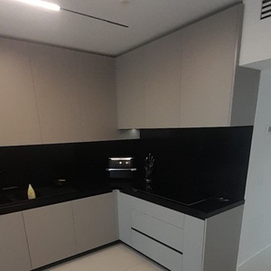 محمد اویس قلعه نوی