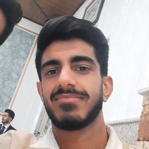 امیرحسین حمزه لو بیاتانی