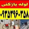 عکس کاربر محمود طالبی