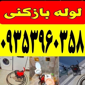 محمود طالبی