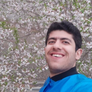 محمد احمدی زمانی