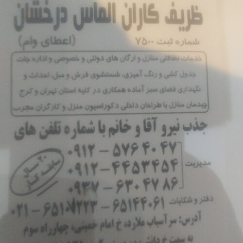 فاطمه پاپی