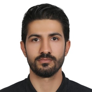 مجتبی نجفی