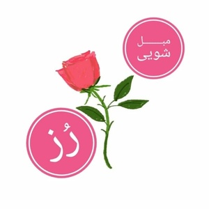 صالح فیروزی